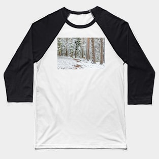 Beautiful serene winter forest landscape Baseball T-Shirt